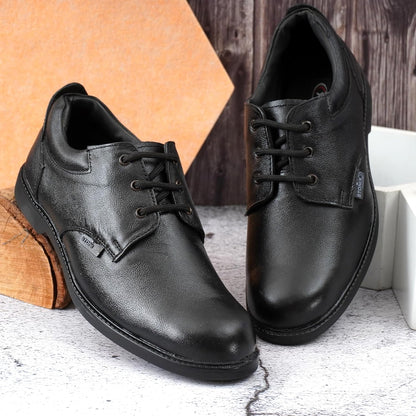 STONIX Safety Shoes for Men's|Steel Toe Shoes for Heavy Duty Work|Formal Look| Slip Resistant Outsole & Leather Safety Sheos|TPR Sole & Comfortable Your Foot